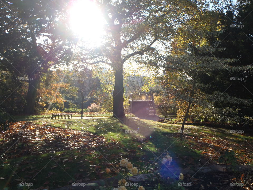 Botanical gardens of Brum