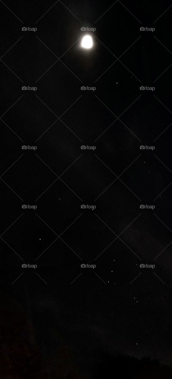 Moon in the night sky.