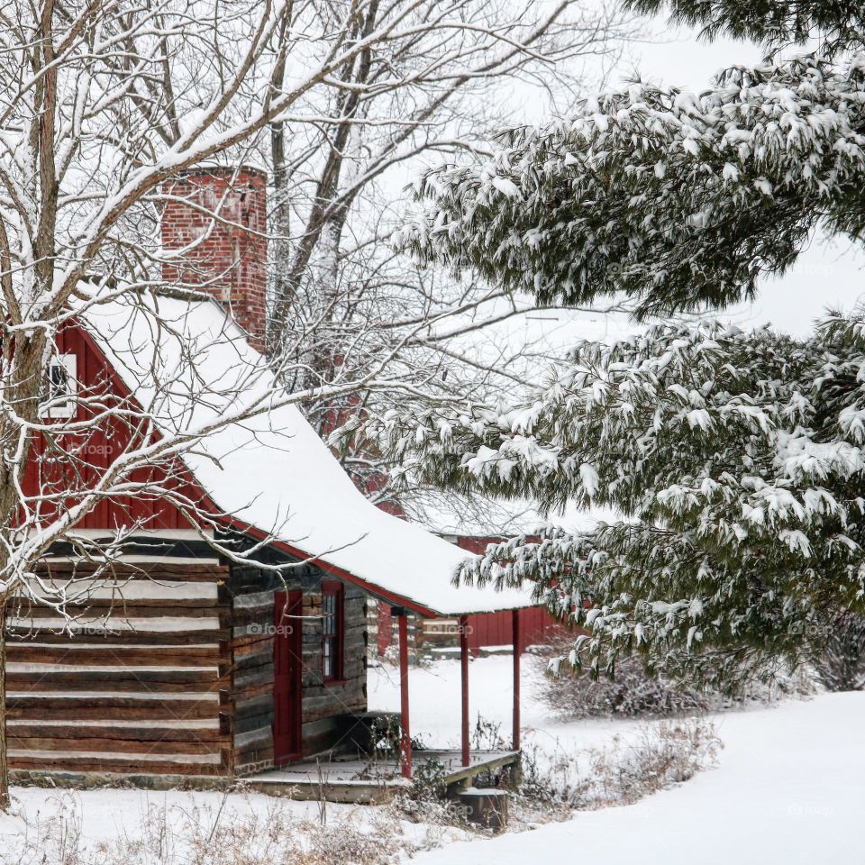 cabin in winter