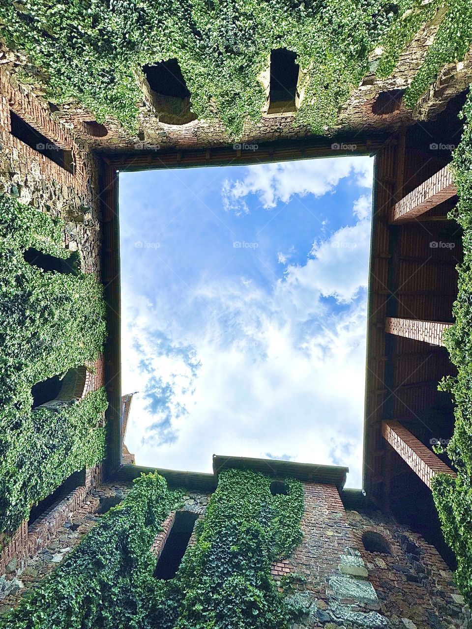 Window to the sky