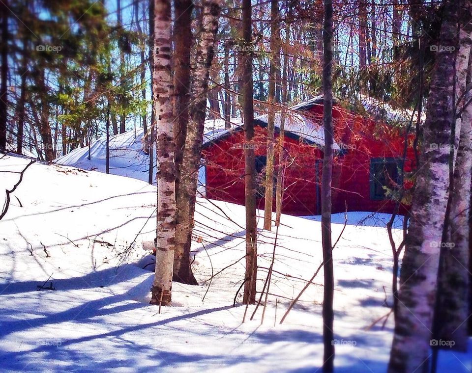 Red house in the snow