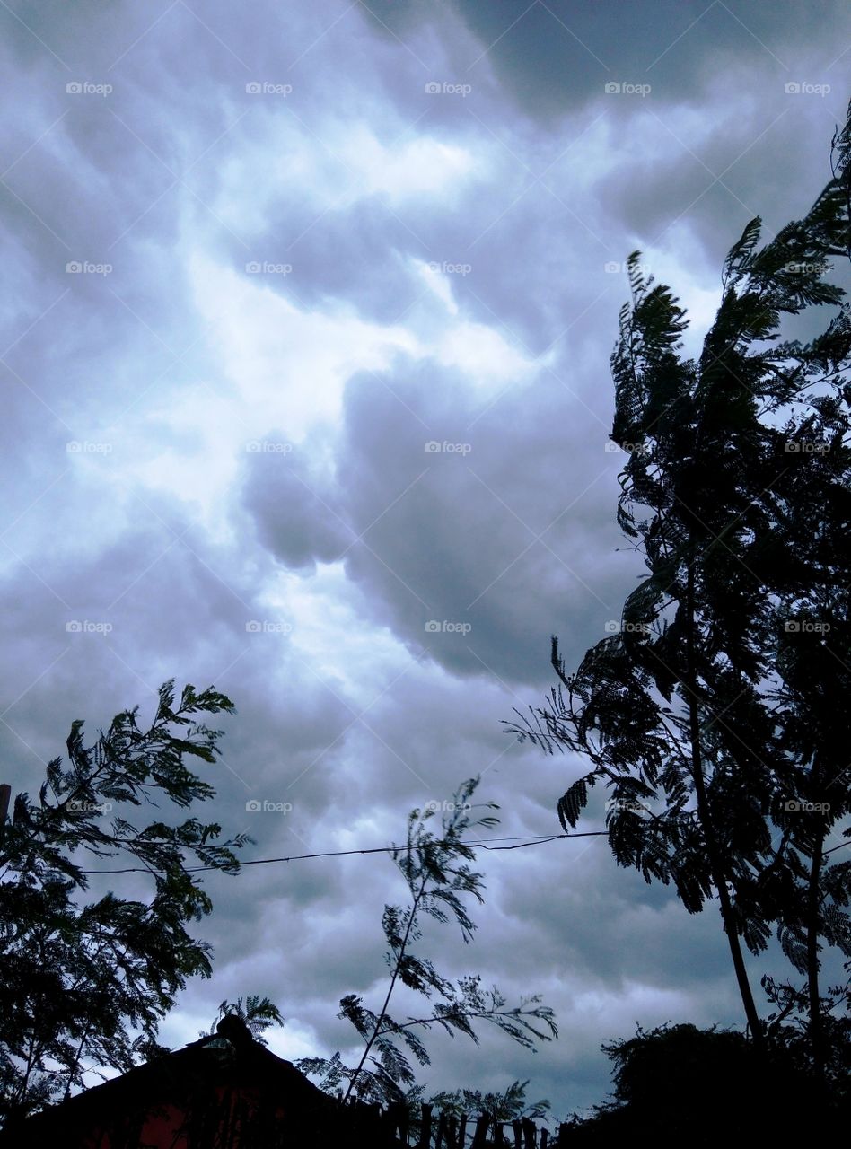 nature🌿🍃 cloud