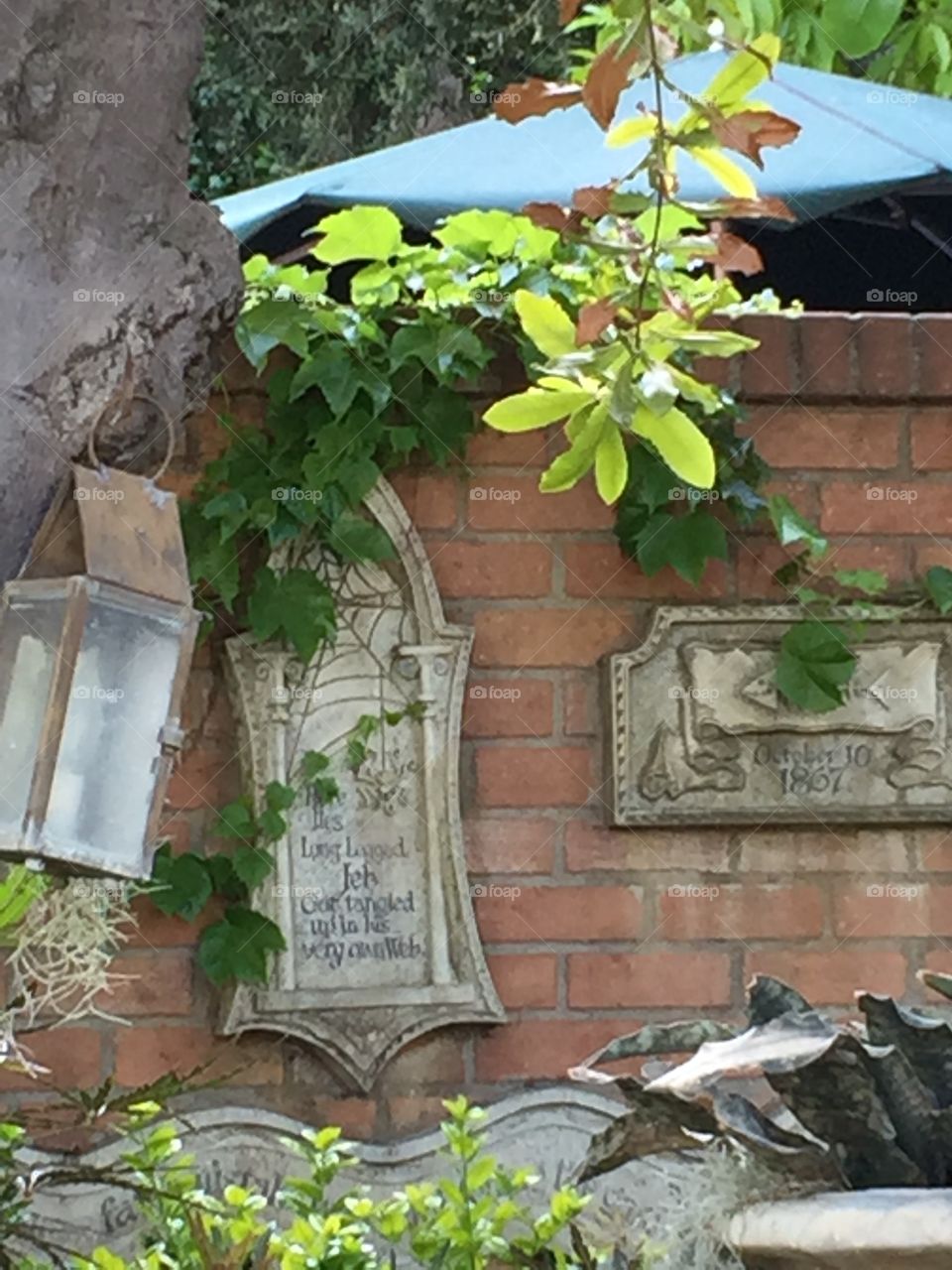 The Haunted Mansion at Disneyland. In Anaheim, California. Pet Cemetery and Immortal Cemetery. No Time in This Realm. Copyright Chelsea Merkley Photography 2019. 