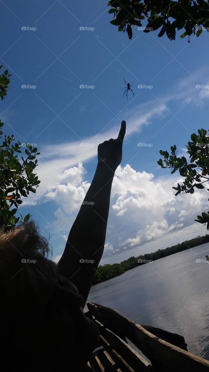 Look!!! A big a$$ spider!!