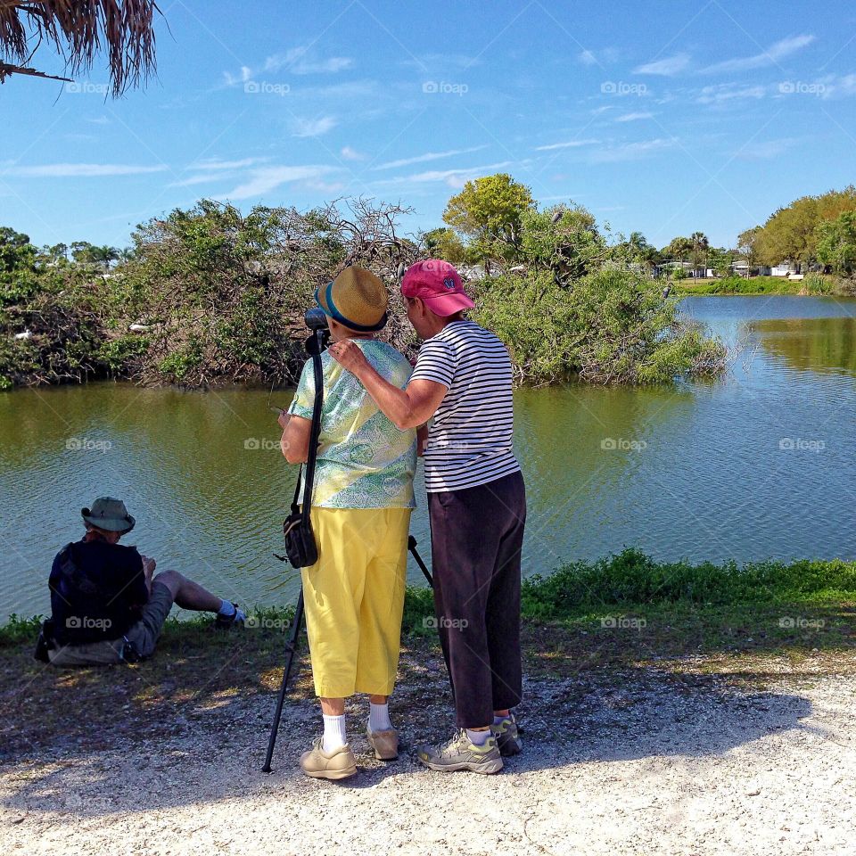 Birdwatchers 