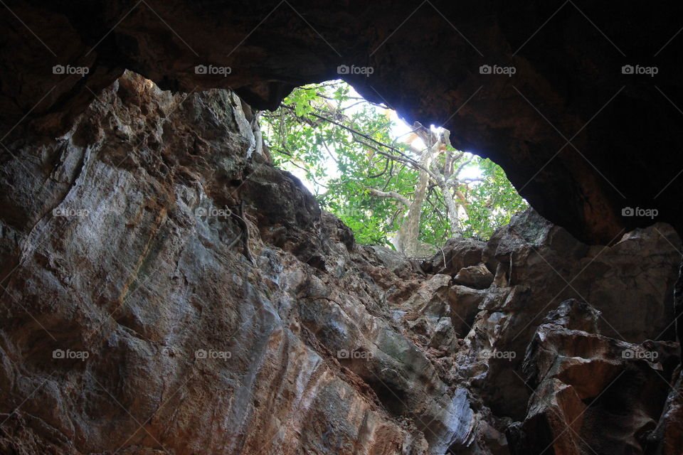 View from inside a Cave