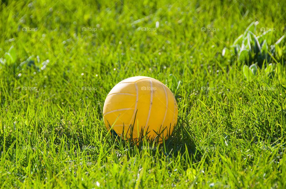 Yellow ball on green grass. Summer background 