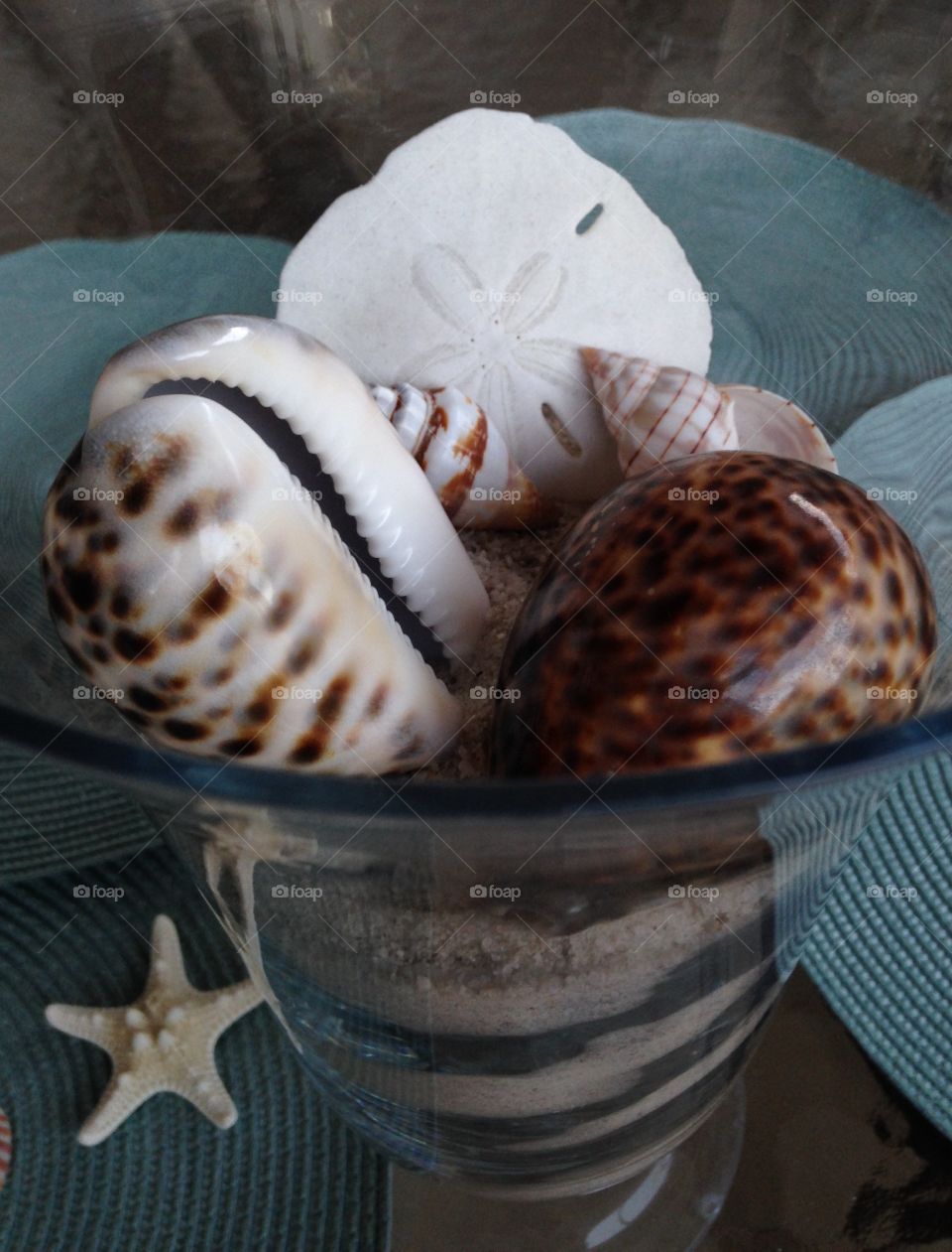 Sea shells 
