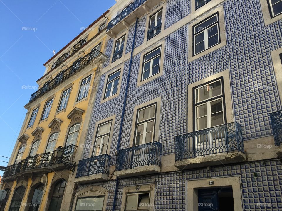 Lisboa's Windows 