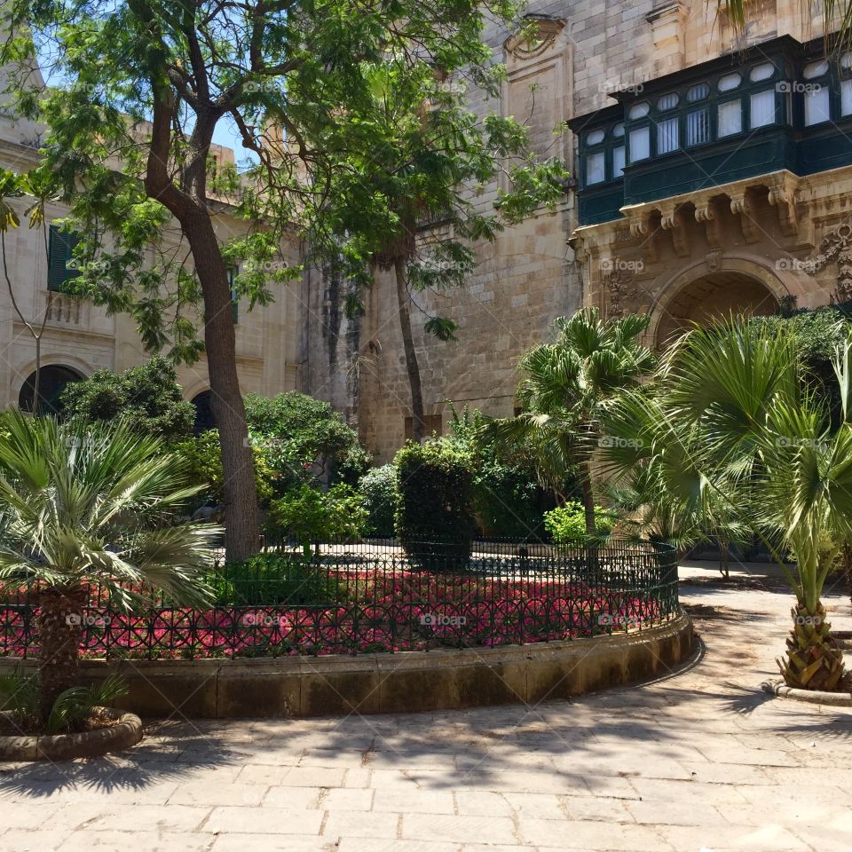 Beautiful gardens of Malta! Loved this country and really enjoyed travelling around all of its hidden gems! 