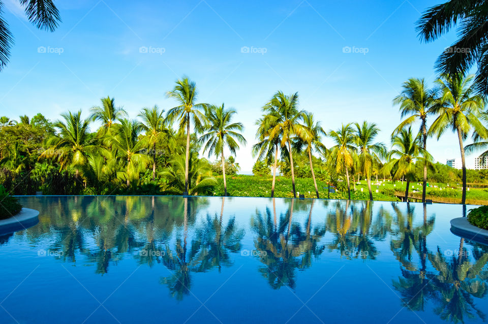Perfect Pool. A beautiful reflection of palm trees on the pool in Puerto Vallarta Mexico