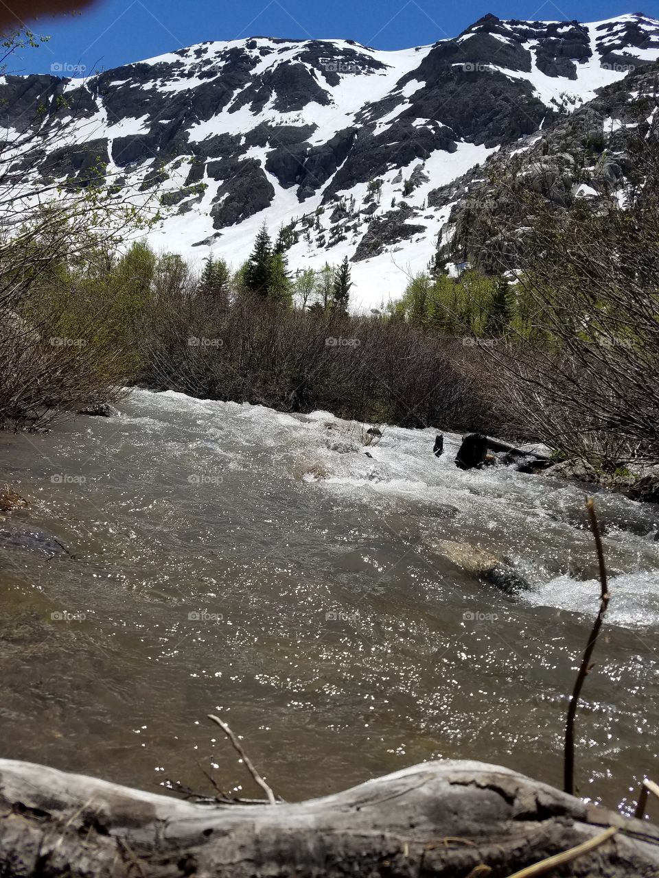 mountain and stream