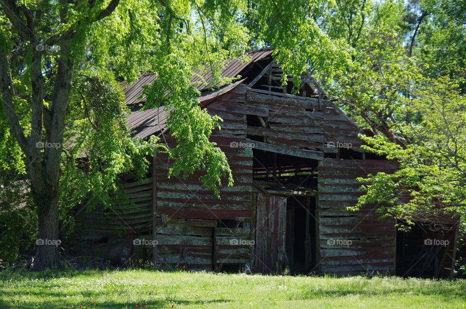 Old Barn