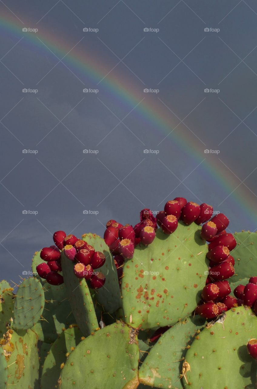 Rainbow in Arizona