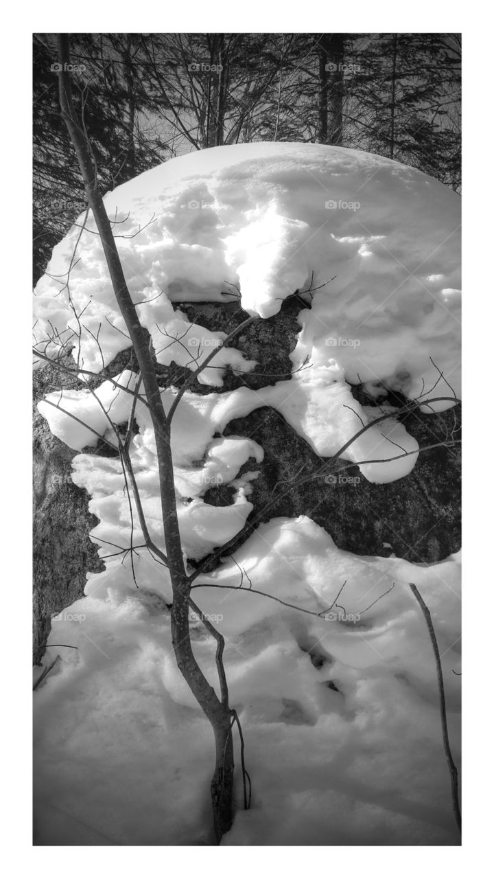 Big rocks in the forest covered in snow; black and white.