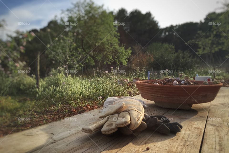 Taking a break from gardening 