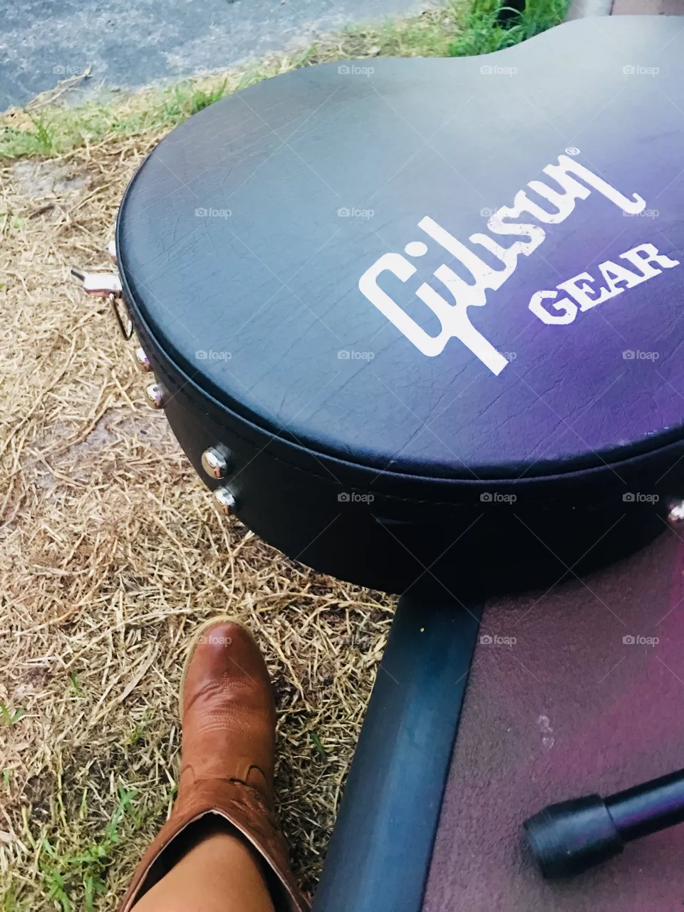 Gibson 