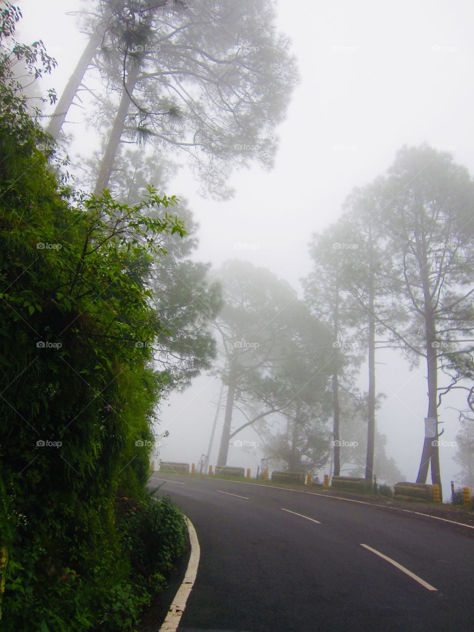 The Foggy Hill Road