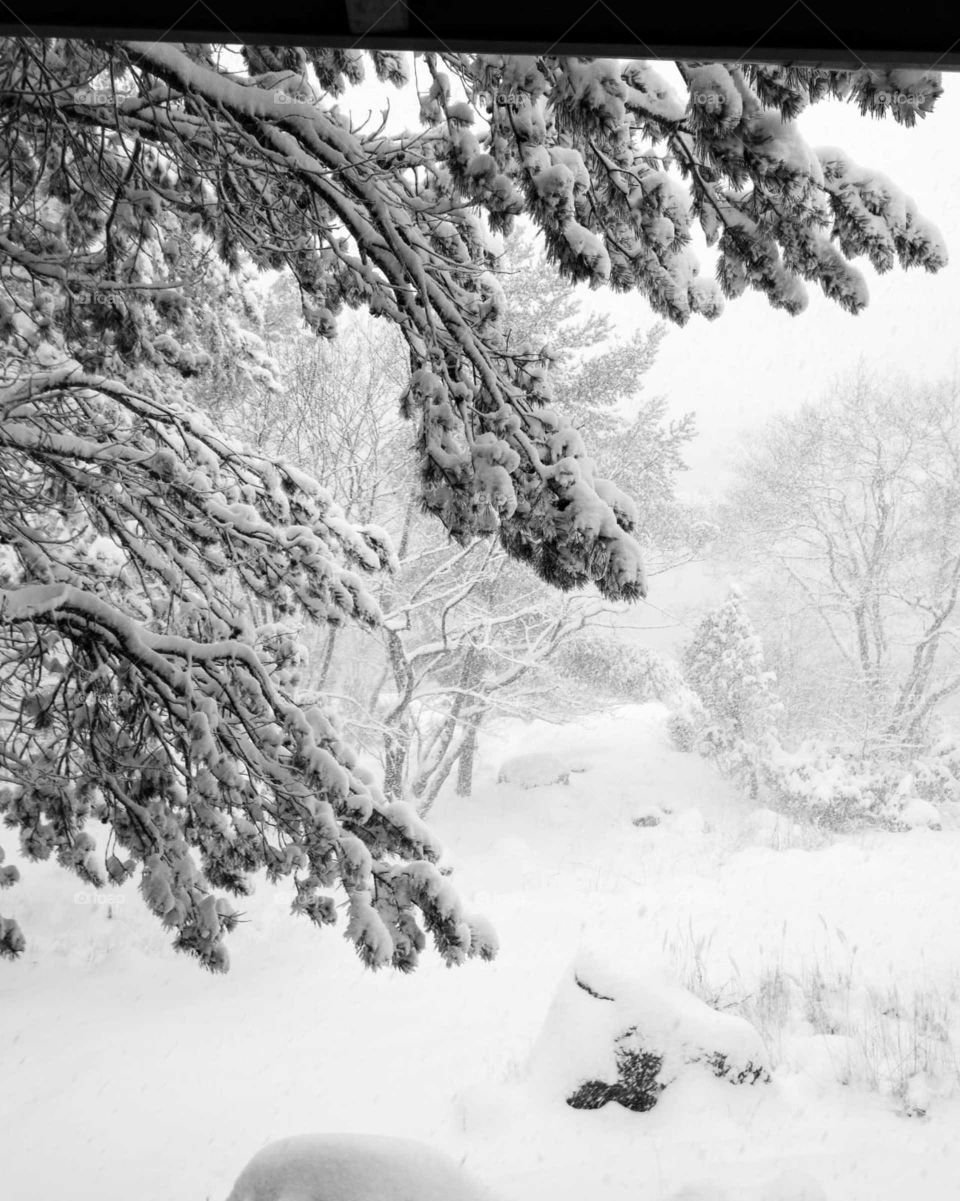 All this snow came in one single night in finland hiittisten saaristo