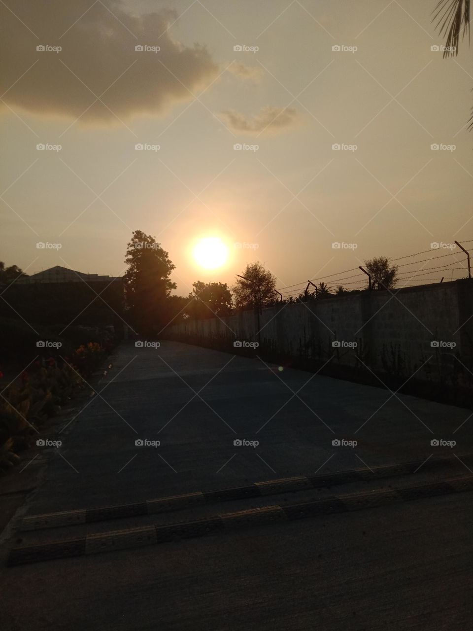 a blessed evening on a walk