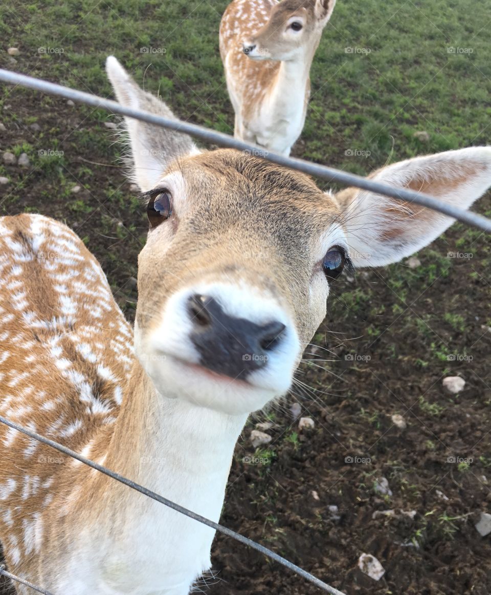 before it ate me aha! Quite symmetrical ;)