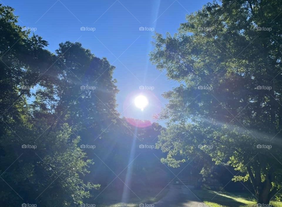 Sun shining in the sky