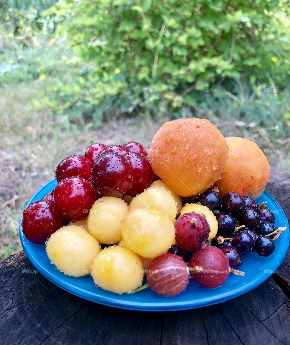 Фрукты, ягоды