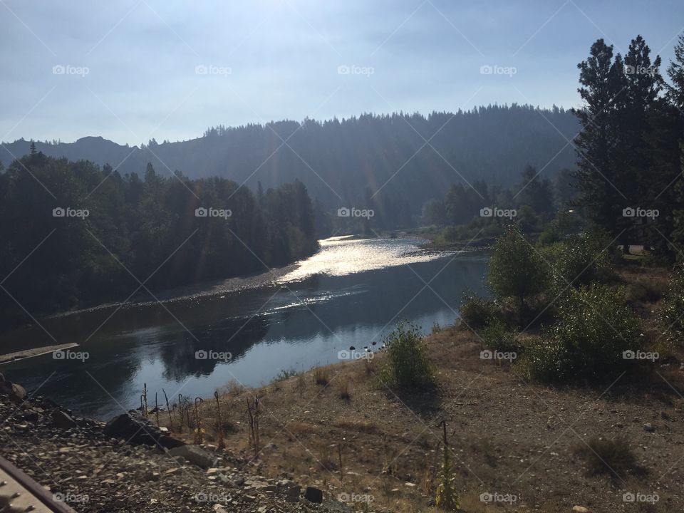 Landscape, Water, No Person, River, Tree