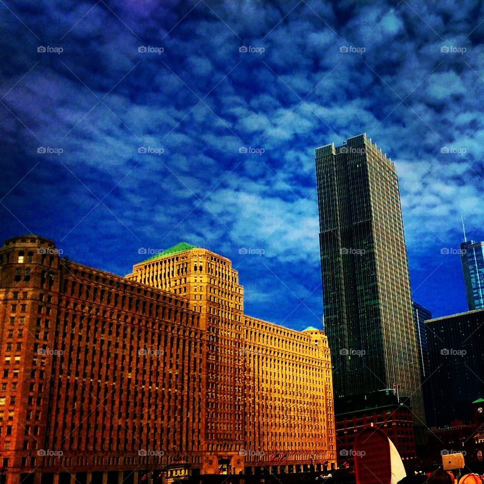 The Merchandise Mart 