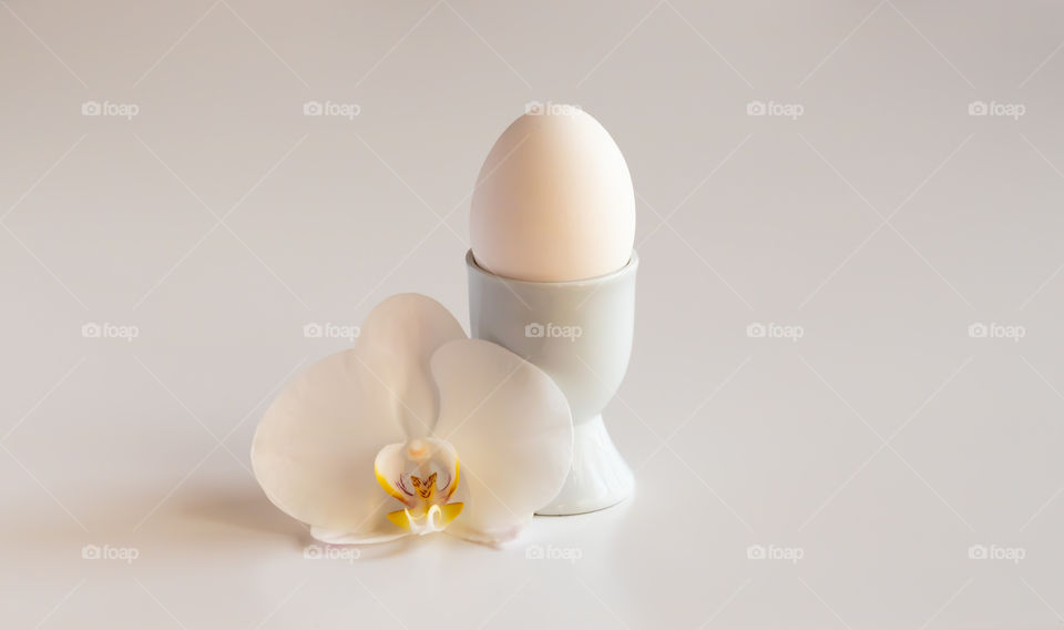 Abstract image made by white egg and orchid flower.