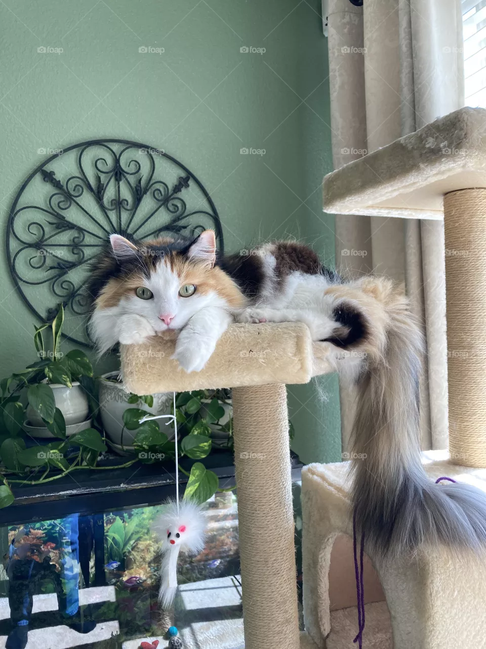 Hanging around 
