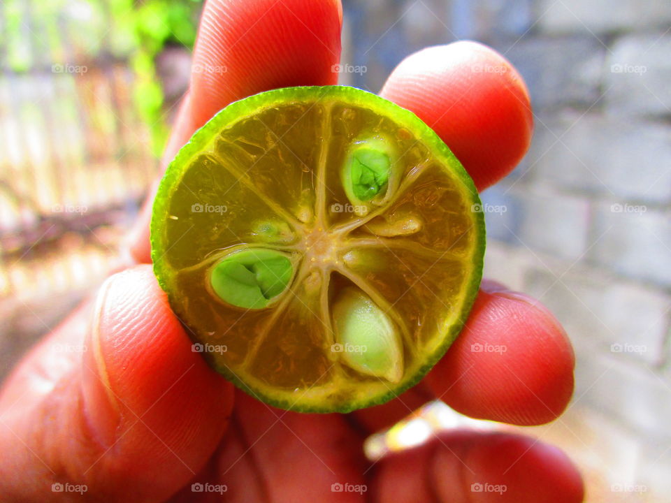 Extreme close-up of grapefruit in hand