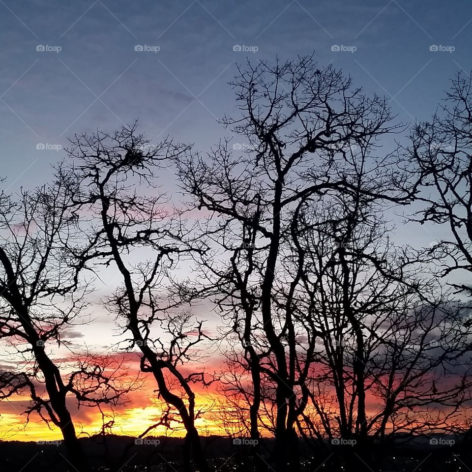 Skinner Butte Sunset. While visiting Eugene,  OR we went up on Skinner ' s Butte to catch this gorgeous sunset. 