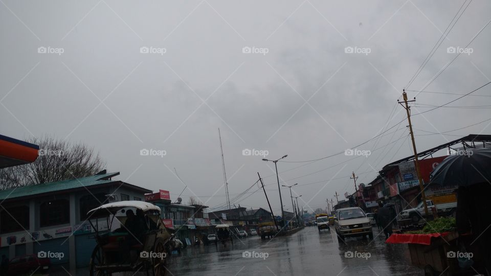 Vehicle, Calamity, Water, Transportation System, Storm