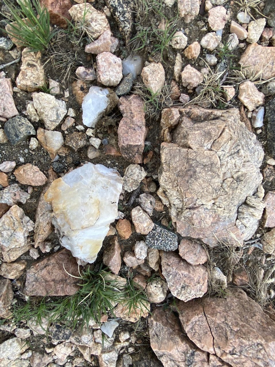 Amazing photo for desert 🌵