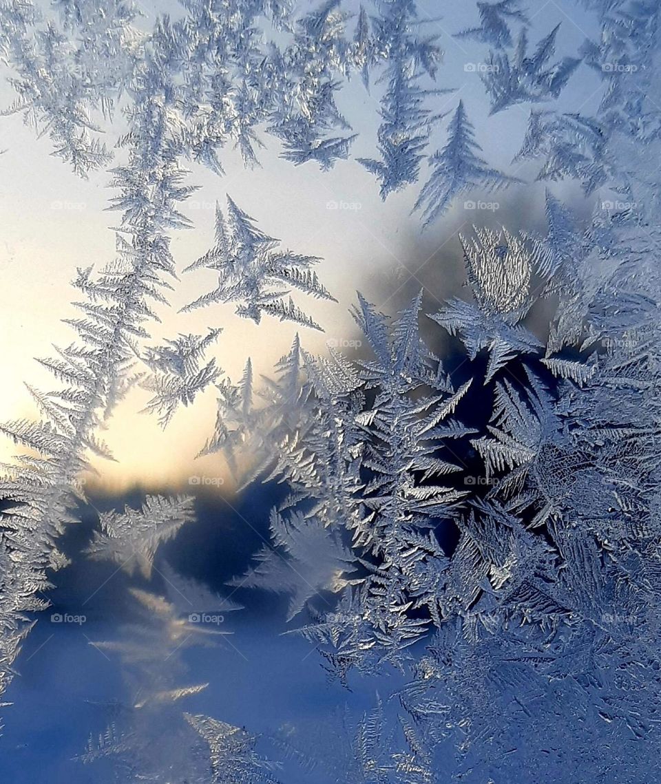 Frosty patterns on the windows