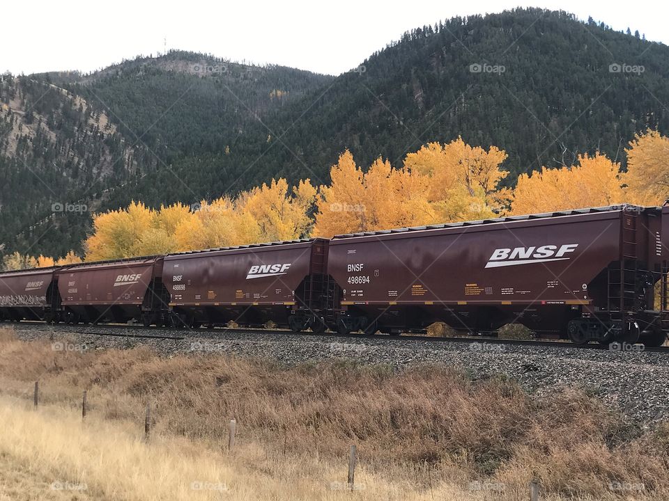 Train county side in the fall 