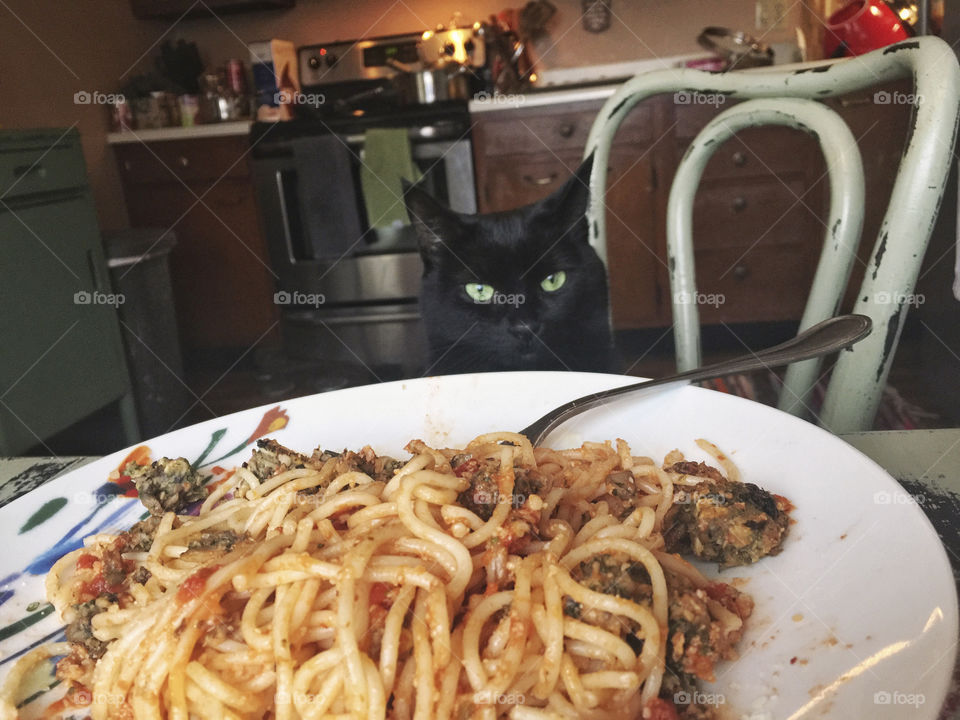 Dinner with my cat... social distance. 
