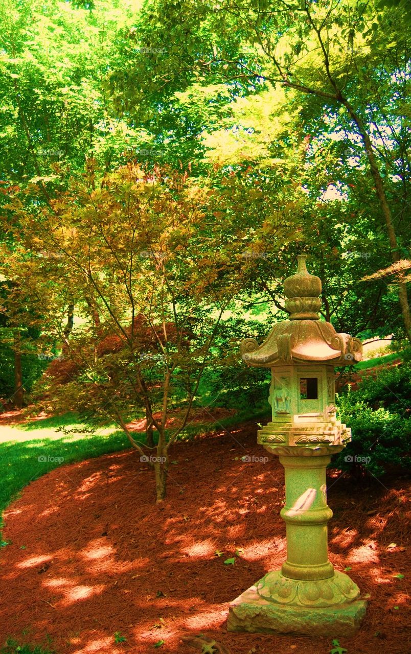 Japanese Garden