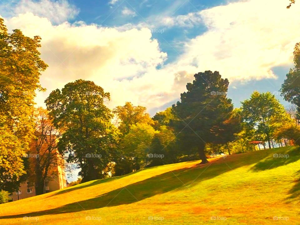 Happy Mood || Happy Evening