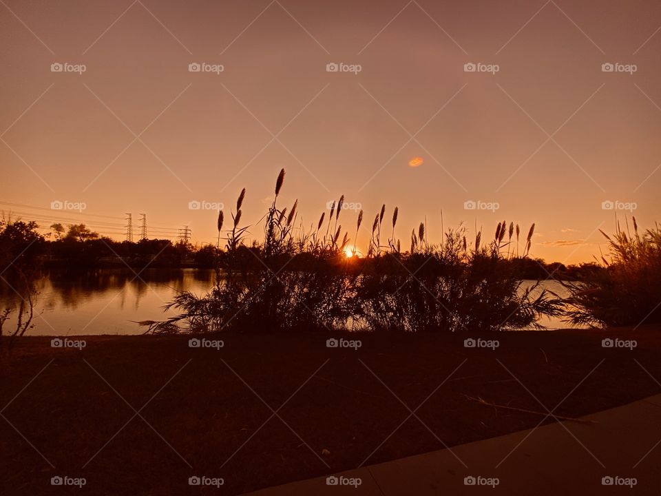 Cat Tails are blowing in the evening wind. Colours are setting the stage for the evening Sunset, Twilight then the Night will take over the day.