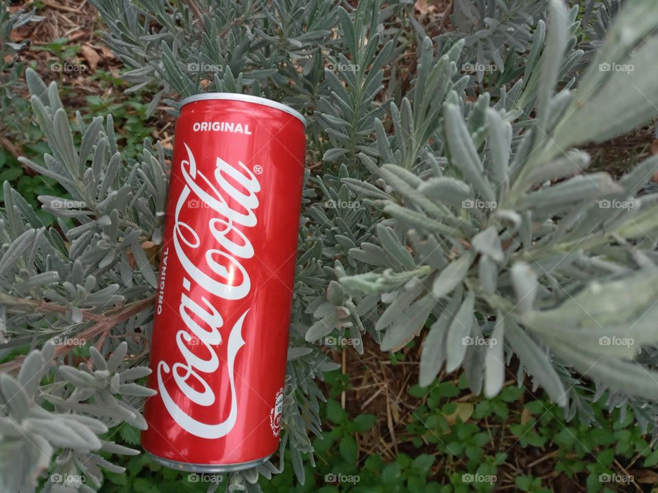 Coca cola can