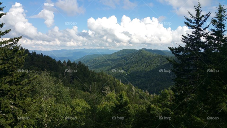 Tennessee mountains