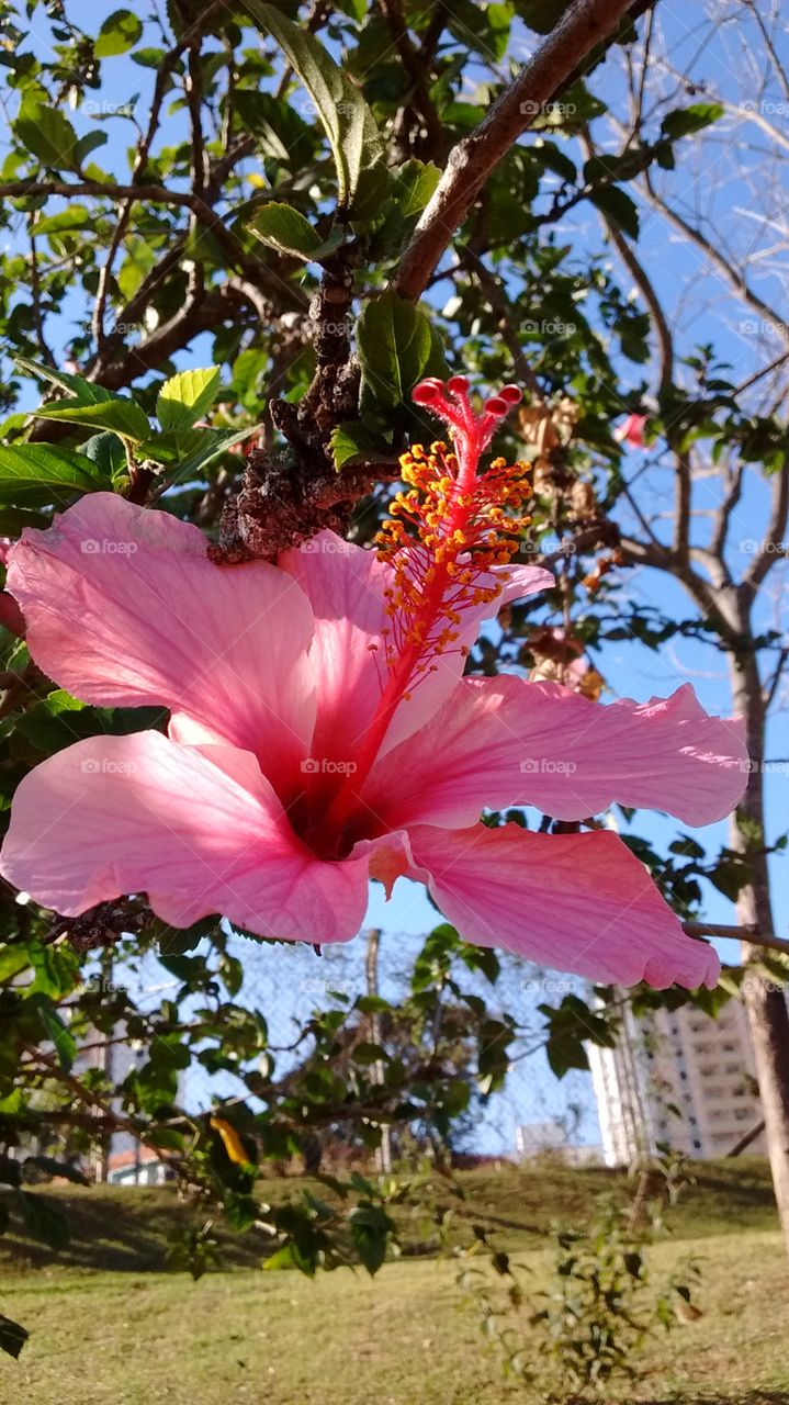 Mimos maravilhosos no Parque da Cidade. 