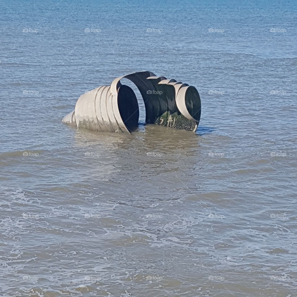 marys shell under water .