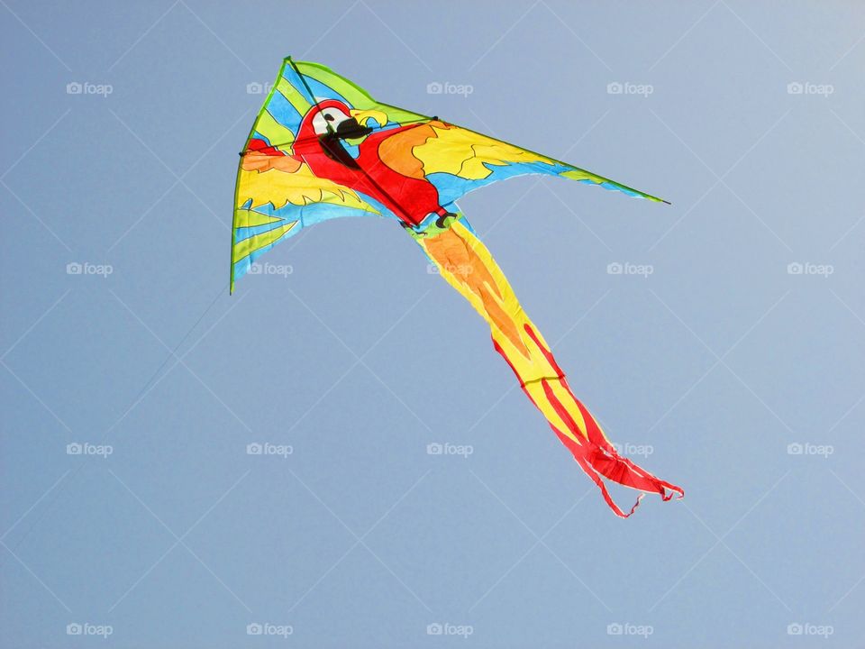 Colored kite
