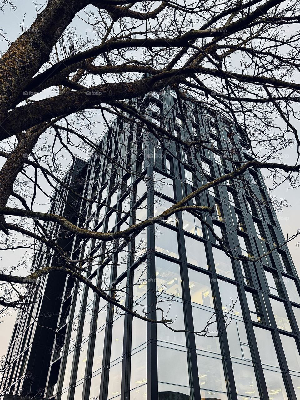 Office building with large glass