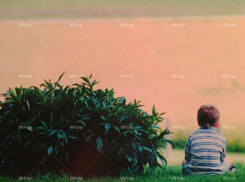 Boy looking at the fields 