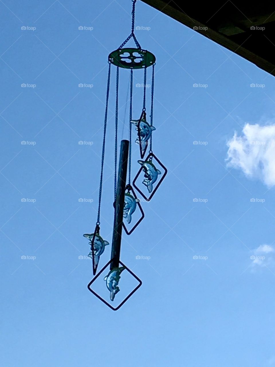 Dolphin chimes 