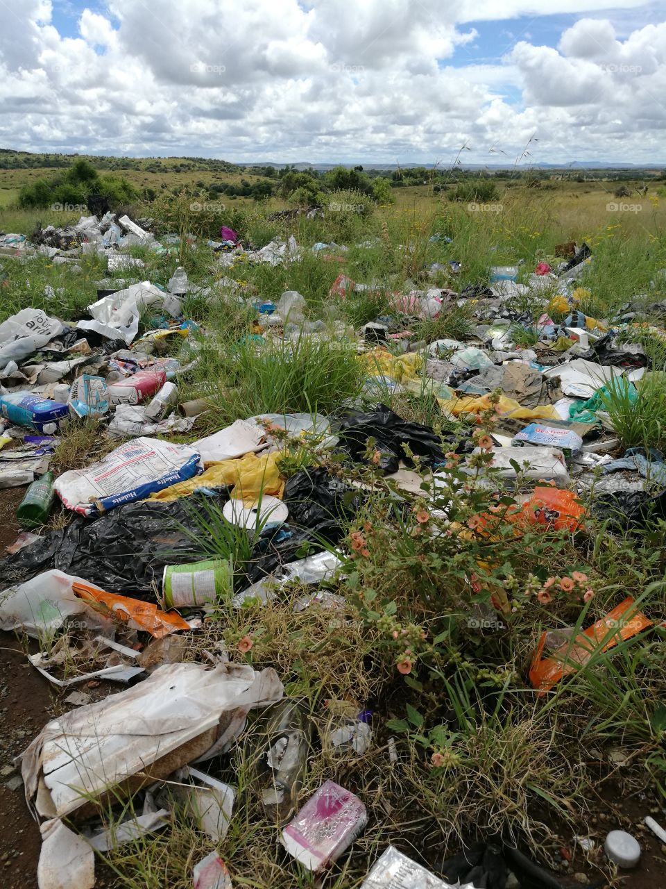 Illegal dumping, heavy footprint of humans on the earth.